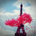 /album/galerie-photos/tour-eiffel-jpg/